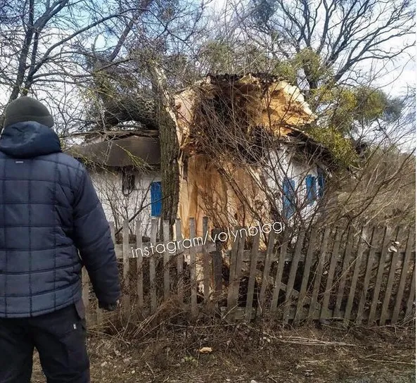 У селі на Волині величезне дерево впало на житловий будинок (фото, відео)