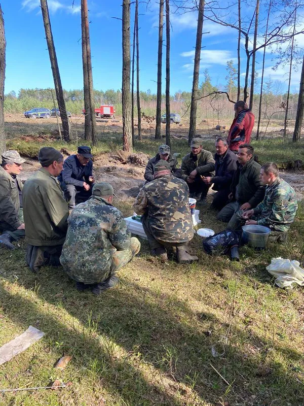 Шкода від лісових пожеж більша, ніж від незаконних рубок, – головний лісівник Волині (фото)