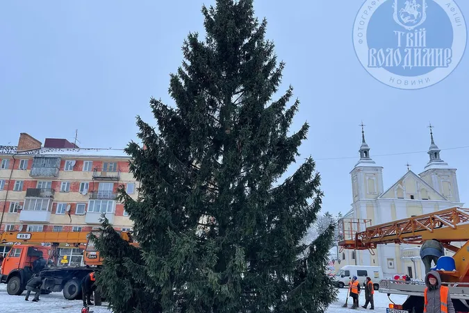 🎄 У Володимирі встановили головну ялинку міста (фото)