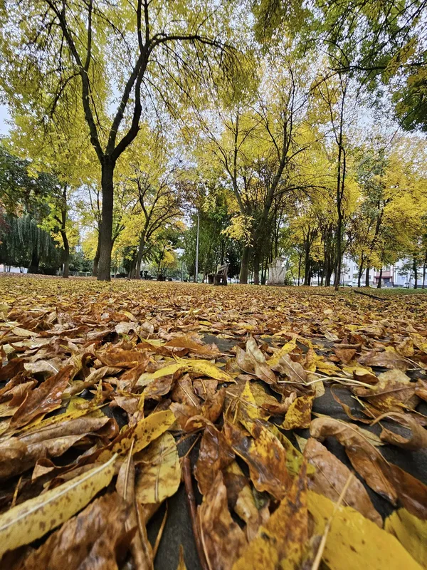 Осінній Луцьк: волинянин опублікував заворожуючі світлини міста (фото)