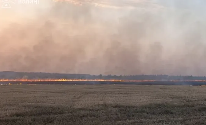 На Волині горіли поля, сухостій і сміття: вогонь охопив понад 5 гектарів (відео)