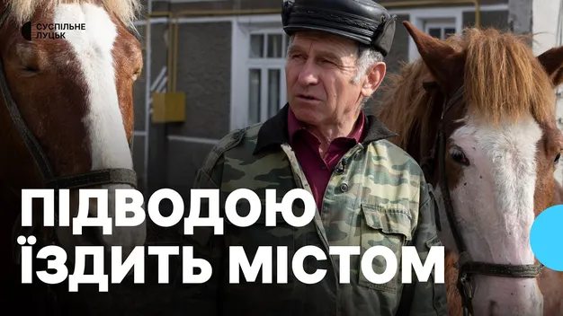 «Коні все розуміють, тільки не говорять»: волинянин уже понад 20 років їздить містом на підводі (відео)