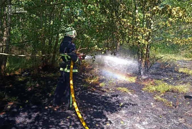 Дві пожежі за день: на Волині вигоріло майже 2 гектари сухостою (фото)