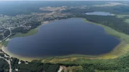 Серед соснового лісу на Поліссі причаїлось глибоке озеро з цілющою водою та скарбами на дні (фото)