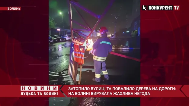 Луцьк раптово накрила потужна злива: буревій повалив дерева (фото, відео)