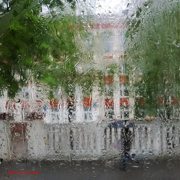Луцький фотохудожник показав місто крізь дощ