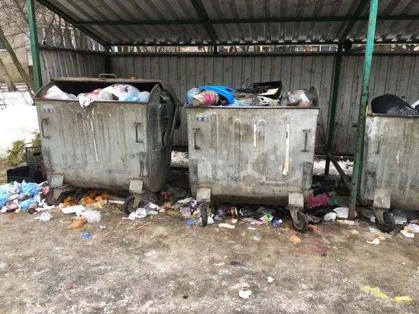Лучанка поскаржилася на жахливу антисанітарію на окрузі Поліщука (фото)