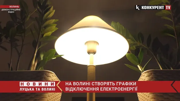 На Волині створять графіки відключення електроенергії, – Погуляйко (відео)