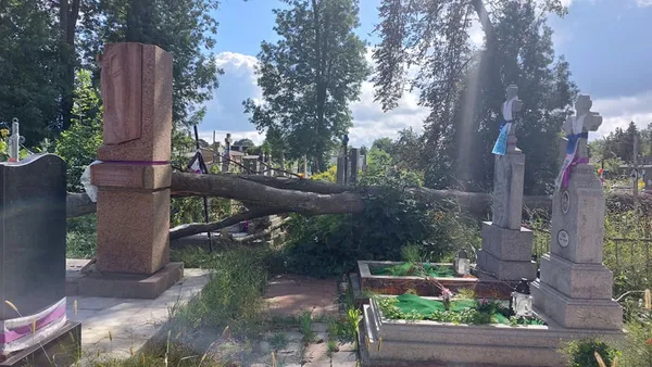 Зруйновані надгробки: у Володимирі сильний вітер повалив дерево на кладовиші (фото)