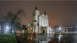 Волиньрада підтримала перейменування Володимира-Волинського (відео)