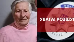 Пішла в ліс по гриби й не повернулася: на Волині розшукують бабусю (фото)
