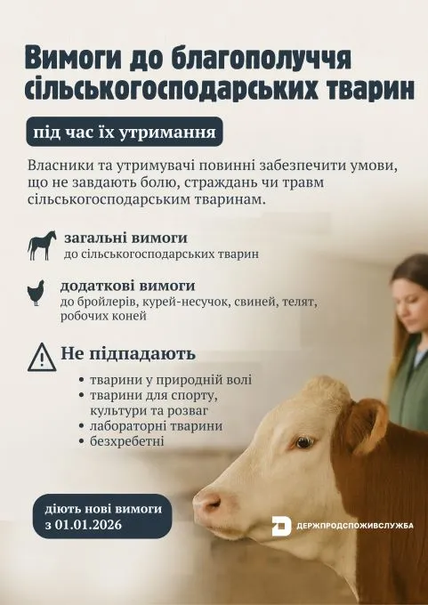 В Україні з 1 січня діятимуть євровимоги до утримання сільськогосподарських тварин