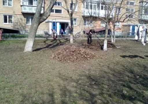 Порушив самоізоляцію: волинянину світить штраф за прибирання у дворі