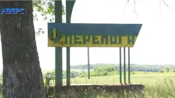 Під Луцьком заростає маками 1,5 тисячі гектарів родючої землі: що сталося (відео)