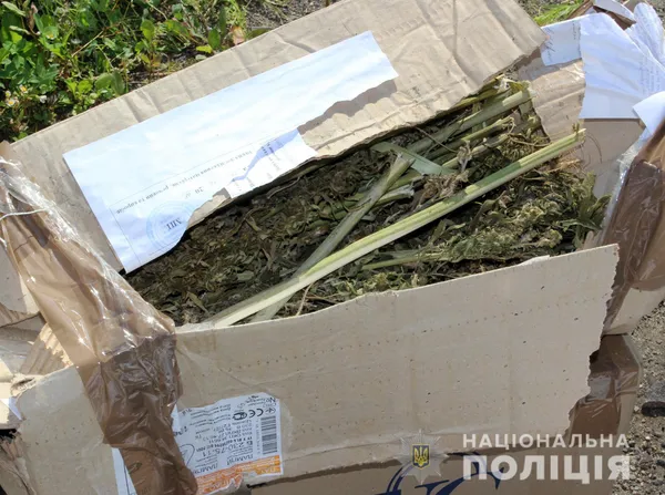 Горів канабіс з димедролом: ковельська поліція знищила наркотики (фото)