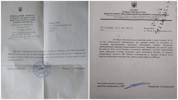 Ти, малий, скажи малому: як луцькі комунальники не можуть зрізати дерево