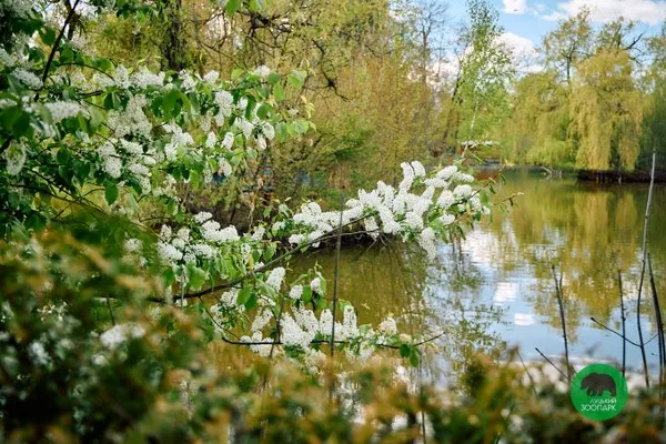 Луцький зоопарк працюватиме довше: новий графік (фото)
