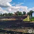 На Рівненщині під час спалювання стерні загинула 90-річна жінка (фото)