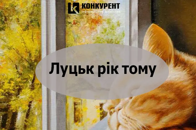 Луцьк рік тому: п’яна погоня та руді котики