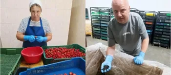 «Досвід має значення»: як на Волині працевлаштовують 50-річних робітників