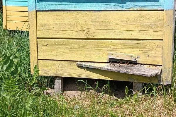 Вулики Федора Юзінкевича