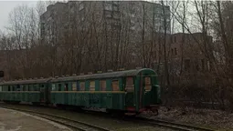 У Луцьку всю зиму розчищатимуть від хащів береги Сапалаївки (фото)