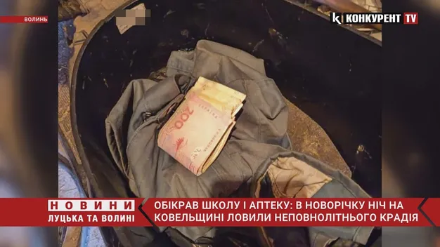 На Волині 17-річний хлопець обікрав школу і аптеку (фото, відео)