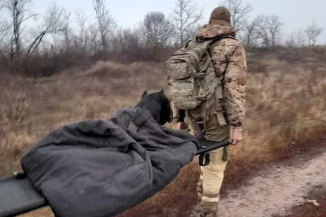 Врятувати рядового Ваську: як чотирилапий розвідник втік з полону (фото)