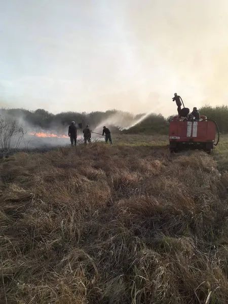 На Волині горів нацпарк (фото)