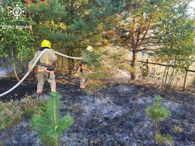 Грався з сірниками: на Камінь-Каширщині психічно хворий чоловік підпалив суху траву (фото)