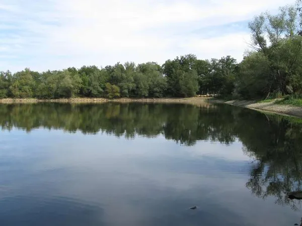 Шашлики, риболовля, водойми: де відпочити біля Луцька (локації та ціни)
