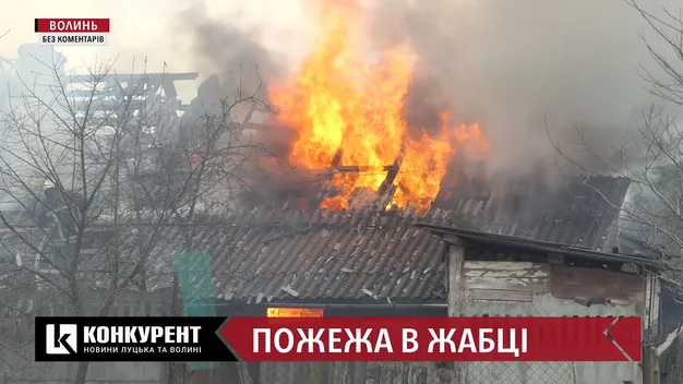 Під Луцьком – пожежа на дачному масиві (відео)