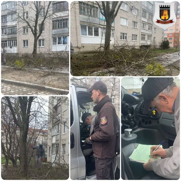 У Луцьку муніципали оштрафували «лісорубів» (фото)