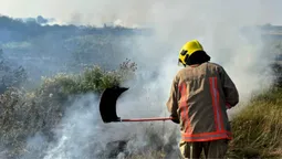 На Волині рятувальники впіймали трьох паліїв: їм виписали великі штрафи (фото)