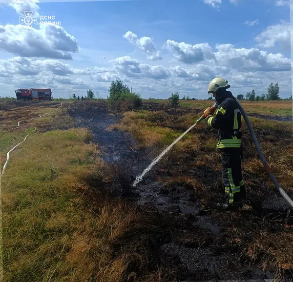 Недопалки та людська недбалість: на Волині знову спалахнули пожежі в екосистемах