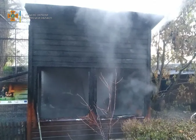 ⚡У Луцькому зоопарку сталася пожежа: загинули три мавпи (відео)