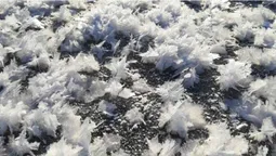 На Стоході розквітли "крижані квіти" (фото)