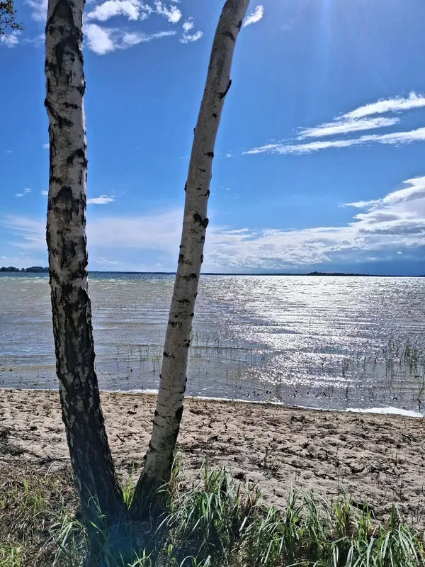 Світязь вразив незвичним видовищем: вода в озері стала схожою на рідке срібло (фото)