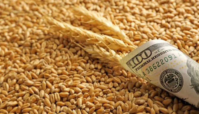 Виручка від експорту агропродукції з України впала на 16%, – УКАБ