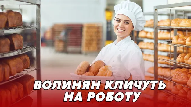Платять до 50 тисяч: яку роботу пропонують волинянам (відео)