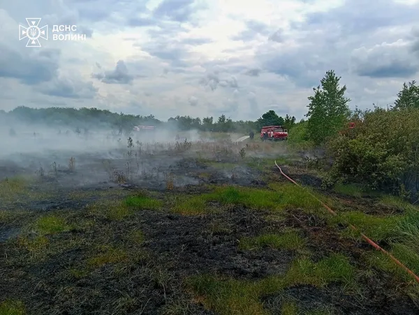 На Волині палає торфовище: рятувальники гасять займання (фото)