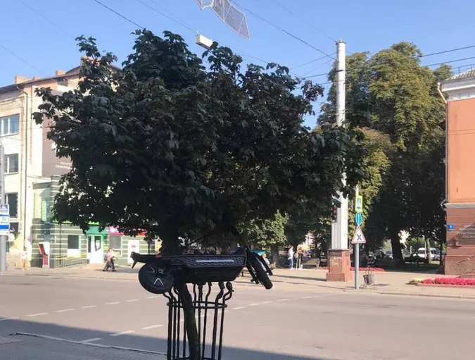 Повісили на дереві: на проспекті Волі в незвичному місці припаркували електросамокат (фото)