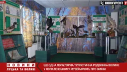 На Волині хочуть створити табір військово-патріотичного виховання (відео)