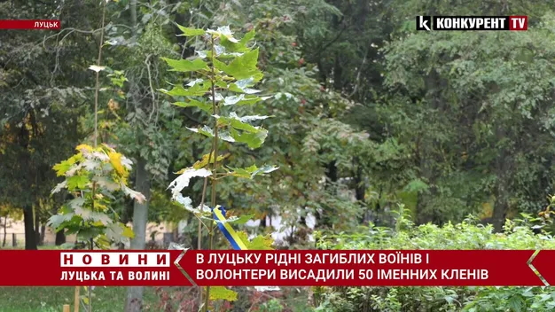 У Луцьку рідні загиблих воїнів і волонтери висадили 50 іменних кленів (відео)