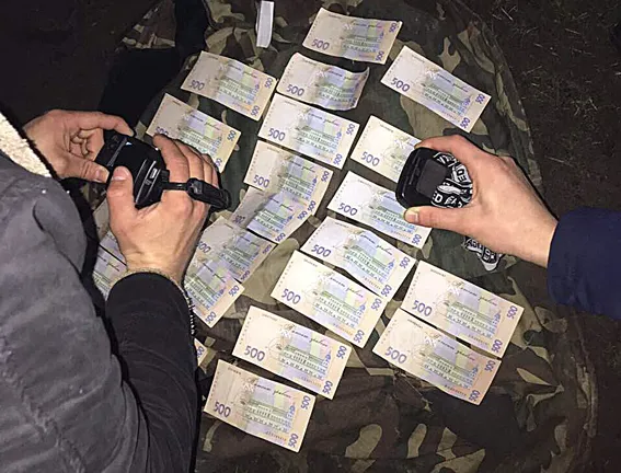 На Волині на хабарі затримали майстра лісу (фото)