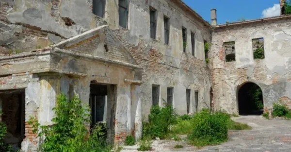 В руїнах замку неподалік Луцька заховані скарби князів Чорторийських і таємна бібліотека єзуїтів (фото)