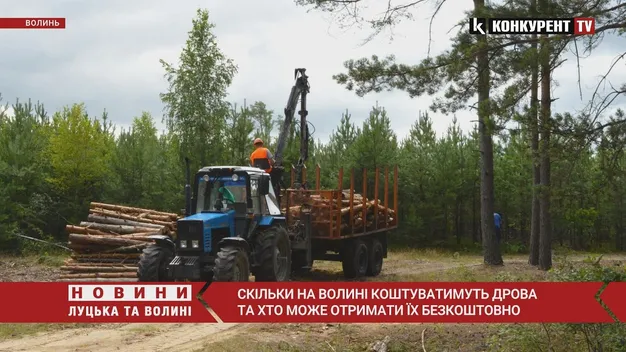 Скільки на Волині коштуватимуть дрова та хто може отримати їх безкоштовно (відео)