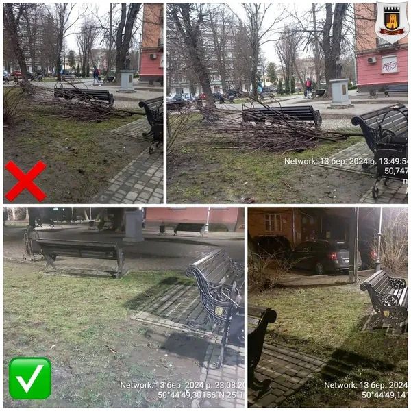 Дерева кронували, а гілля не прибрали: у центрі Луцька захарастили сквер (фото)