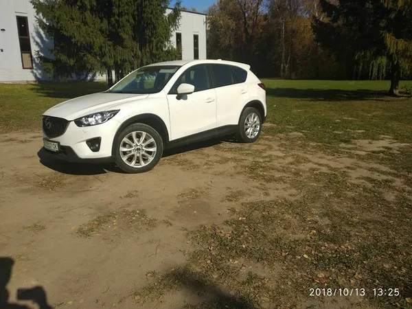 У луцькому парку «автохам» намагався наїхати на муніципала (фото)