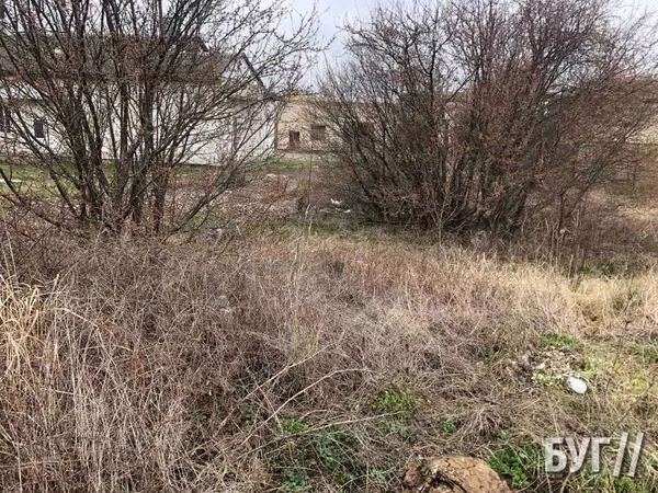 Покійників несуть через гори непотребу: селище на Волині потопає у смітті (фото)